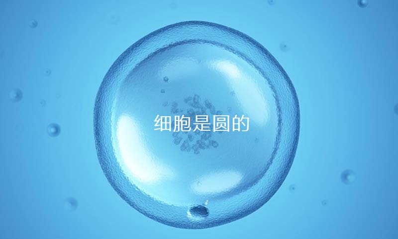 中至生物：大道至簡(jiǎn)·品牌百萬(wàn)級(jí)LOGO升級(jí)引爆品牌氣質(zhì)！