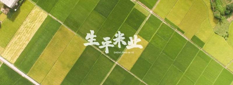 口碑引客，歐賽斯&生平米業(yè)開啟品牌戰(zhàn)略合作